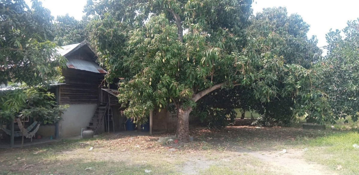picture Beautiful land for sale, convenient, water and electricity available, in a community in Thong En Subdistrict, In Buri District, Sing Buri Province. - 5/5