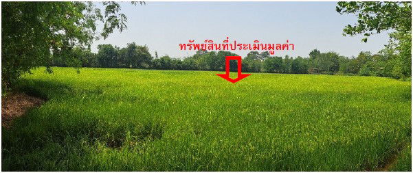 picture ที่ดินเปล่า 23448 square meter Maha Sarakham Kantharawichai Ma Kha for 2289000 THB - 5/7