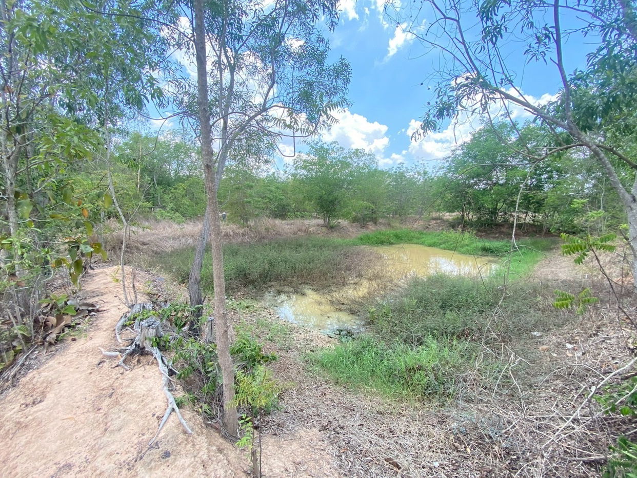 picture ที่ดินเปล่า 8000 square meter Maha Sarakham Muang Maha Sarakham Khwao for 3124000 THB - 9/12