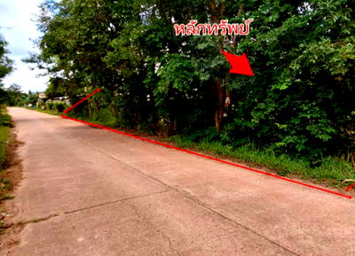 ขายที่ดิน : ที่ดินเปล่า เนื้อที่ทั้งหมด 1644 ตารางเมตร - ตำบลบึงกาฬ อำเภอเมืองบึงกาฬ บึงกาฬ ราคา 1,880,000 บาท