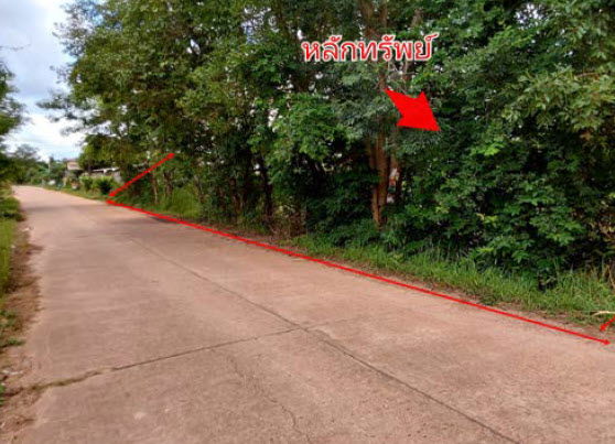 รูป ที่ดินเปล่า เนื้อที่ทั้งหมด 1644 ตารางเมตร - ตำบลบึงกาฬ อำเภอเมืองบึงกาฬ บึงกาฬ ราคา 1,880,000 บาท - รูปที่ 1/4