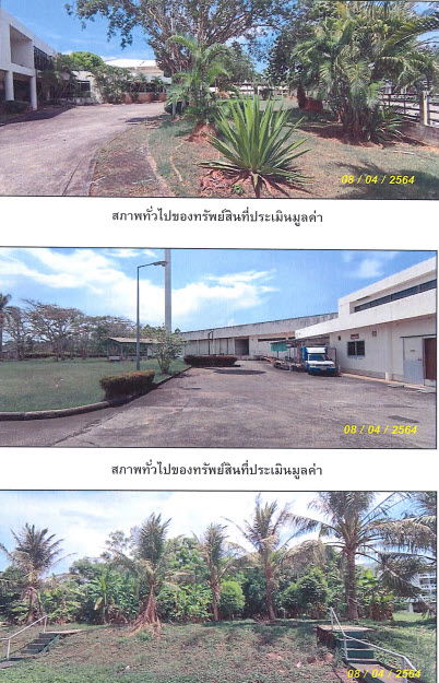 picture โรงงาน 62133.2 square meter Trang Muang Trang Na Tham Nua for 78743000 THB - 2/6