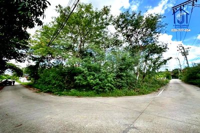 ที่ดิน บางบัวทอง นนทบุรี : ขายที่ดินถมแล้ว 99.4 ตารางวา ซอย 99พัฒนา ถนนบางกรวย-ไทรน้อย ถนนกาญจนาภิเษก (วงแหวนตะวันตก/มอเตอร์เวย์ 9) 