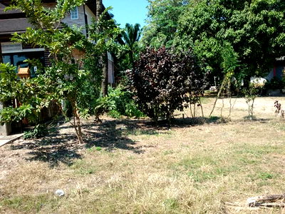 Land for sale Khao Phanom Krabi : ที่ดินเปล่า 234.8 square meter Krabi Khao Phanom Khao Din for 1163000 THB