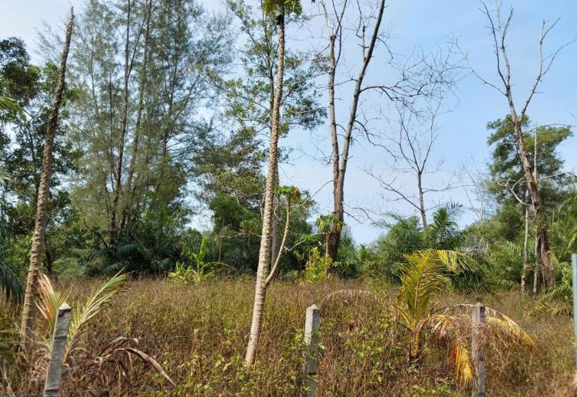 picture ที่ดินเปล่า 8073.2 square meter Phangnga Takua Pa Kheuk Khak for 14583000 THB - 1/4
