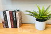 listing thumbnail image 11