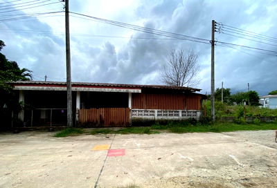 Twin houses for sale Muang Narathiwat Narathiwat : บ้านแฝด 178.8 square meter Narathiwat Muang Narathiwat Khok Khian for 998000 THB