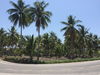 listing thumbnail image 12