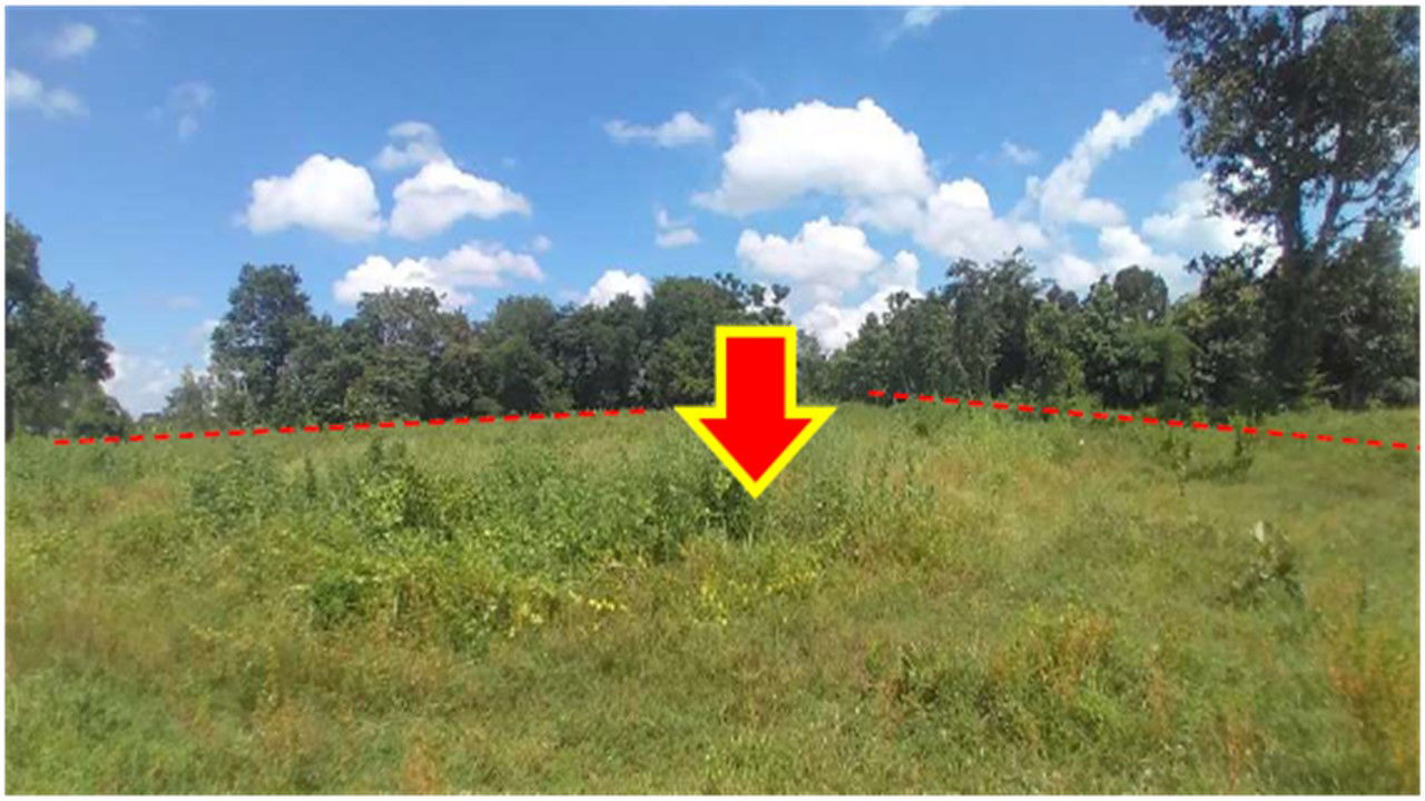 picture ที่ดินเปล่า 11820 square meter Yasothon Loeng Nok Tha Sawat for 8549000 THB - 6/9