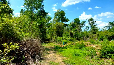 ที่ดิน สงขลา : ที่ดินเปล่า เนื้อที่ทั้งหมด 1174 ตารางเมตร - เสริมทรัพย์ ตำบลควนลัง อำเภอหาดใหญ่ สงขลา ราคา 3,552,000 บาท