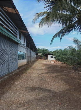 รูป โรงงาน เนื้อที่ทั้งหมด 3859.2 ตารางเมตร 81 หมู่ 3 ตำบลทุ่งกระบือ อำเภอย่านตาขาว ตรัง ราคา 1,875,000 บาท - รูปที่ 7/12