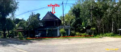 Houses for sale Trang : บ้านเดี่ยว 240.4 square meter Trang Palian Bang Duan for 1185000 THB