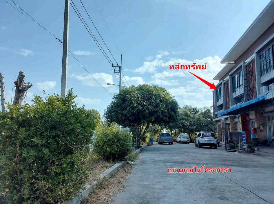 รูป อาคารพาณิชย์ เนื้อที่ทั้งหมด 144 ตารางเมตร ไม่มี ตำบลโนนสูง อำเภอโนนสูง นครราชสีมา ราคา 3,640,000 บาท - รูปที่ 3/9