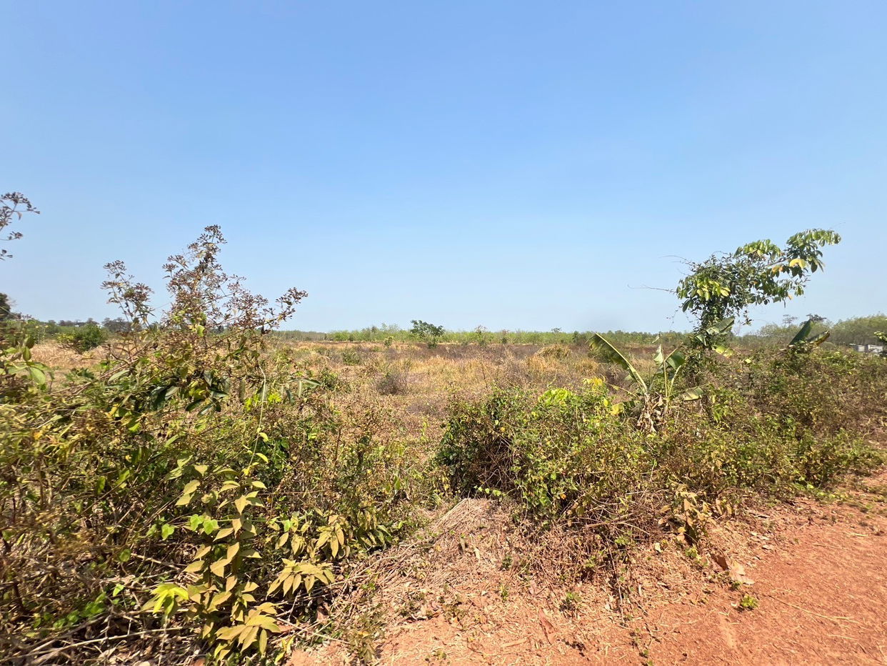 picture ที่ดินเปล่า 152368 square meter Sakon Nakhon Kham Ta Kla Nong Bua Sim for 5333000 THB - 5/12