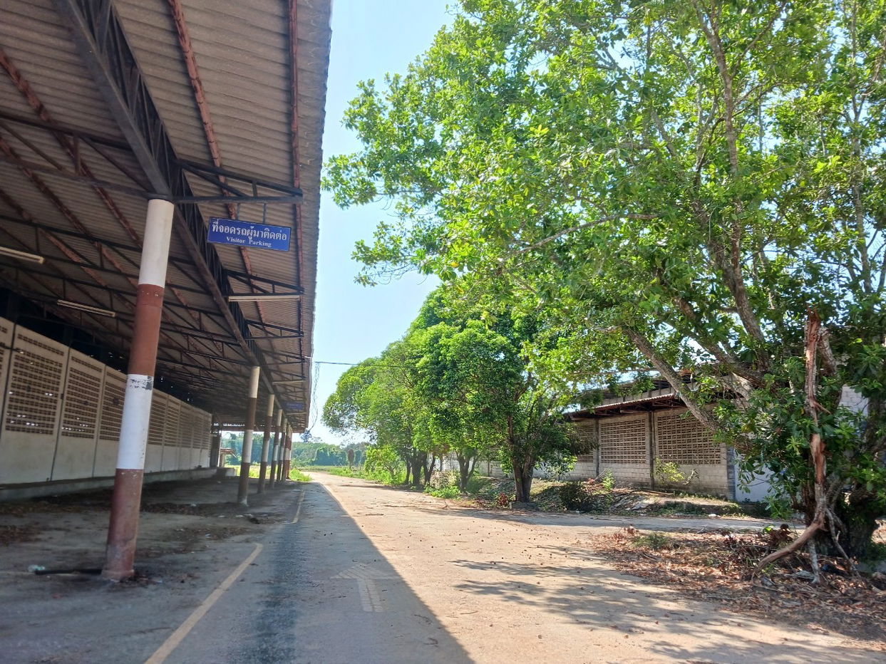 picture โรงงาน 211222.8 square meter Rayong Khao Chamao Nam Pen for 129370000 THB - 6/8