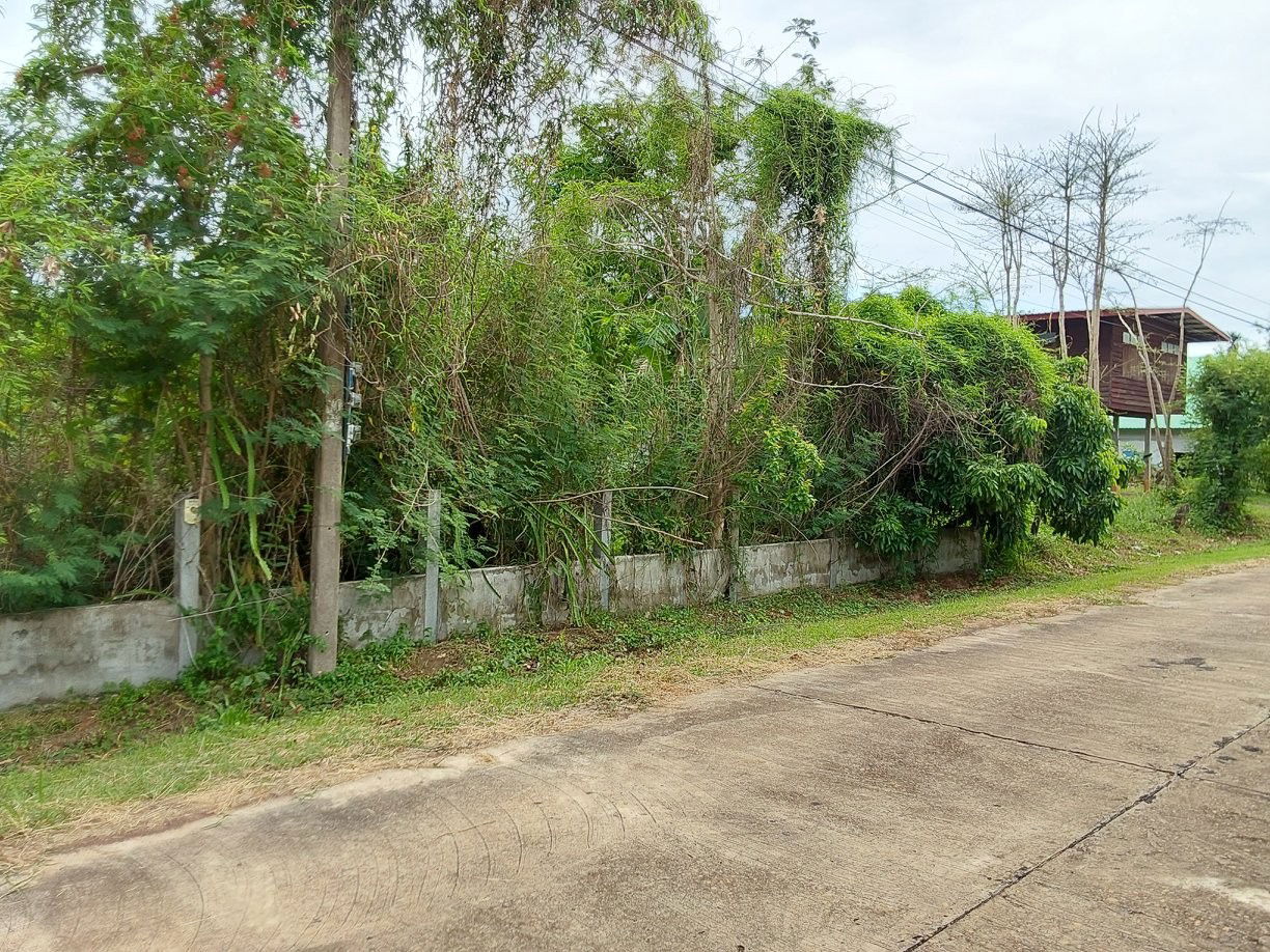 picture ที่ดินเปล่า 486.4 square meter Sakon Nakhon Charoen Sin Charoen Sin for 912000 THB - 1/2