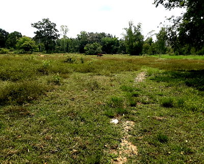 Land for sale Akat Amnuai Sakon Nakhon : ที่ดินเปล่า 14668 square meter Sakon Nakhon Akat Amnuai A-kat for 2650000 THB
