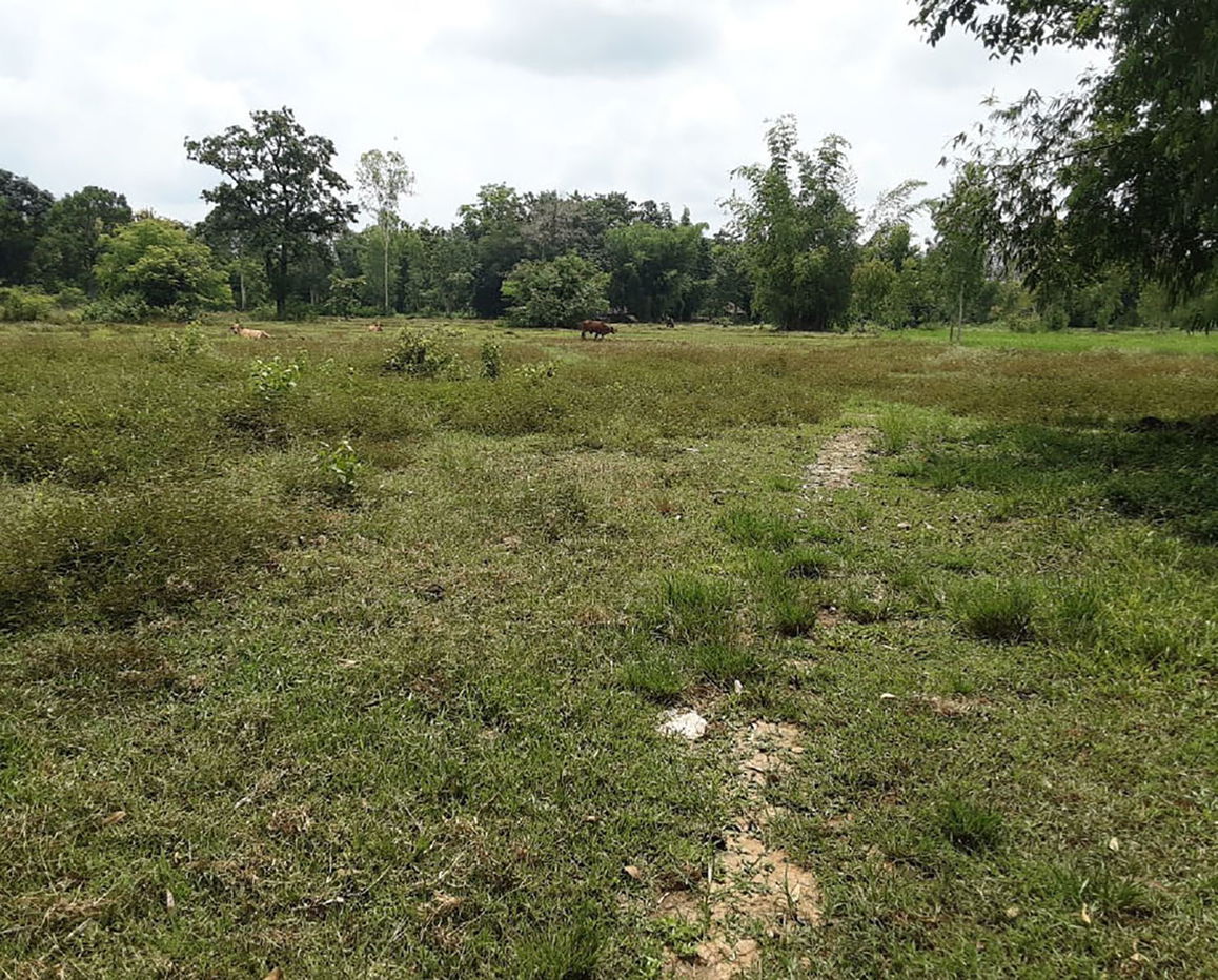 picture ที่ดินเปล่า 14668 square meter Sakon Nakhon Akat Amnuai A-kat for 2650000 THB - 1/3