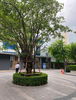 listing thumbnail image 6