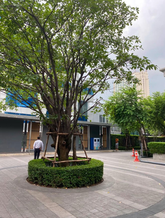 รูป WS2208 [เช่า] Quinn condo รัชดา 17 💰 เช่า 40,000 บาท/เดือน 🚇 MRT สุทธิสาร - รูปที่ 7/18