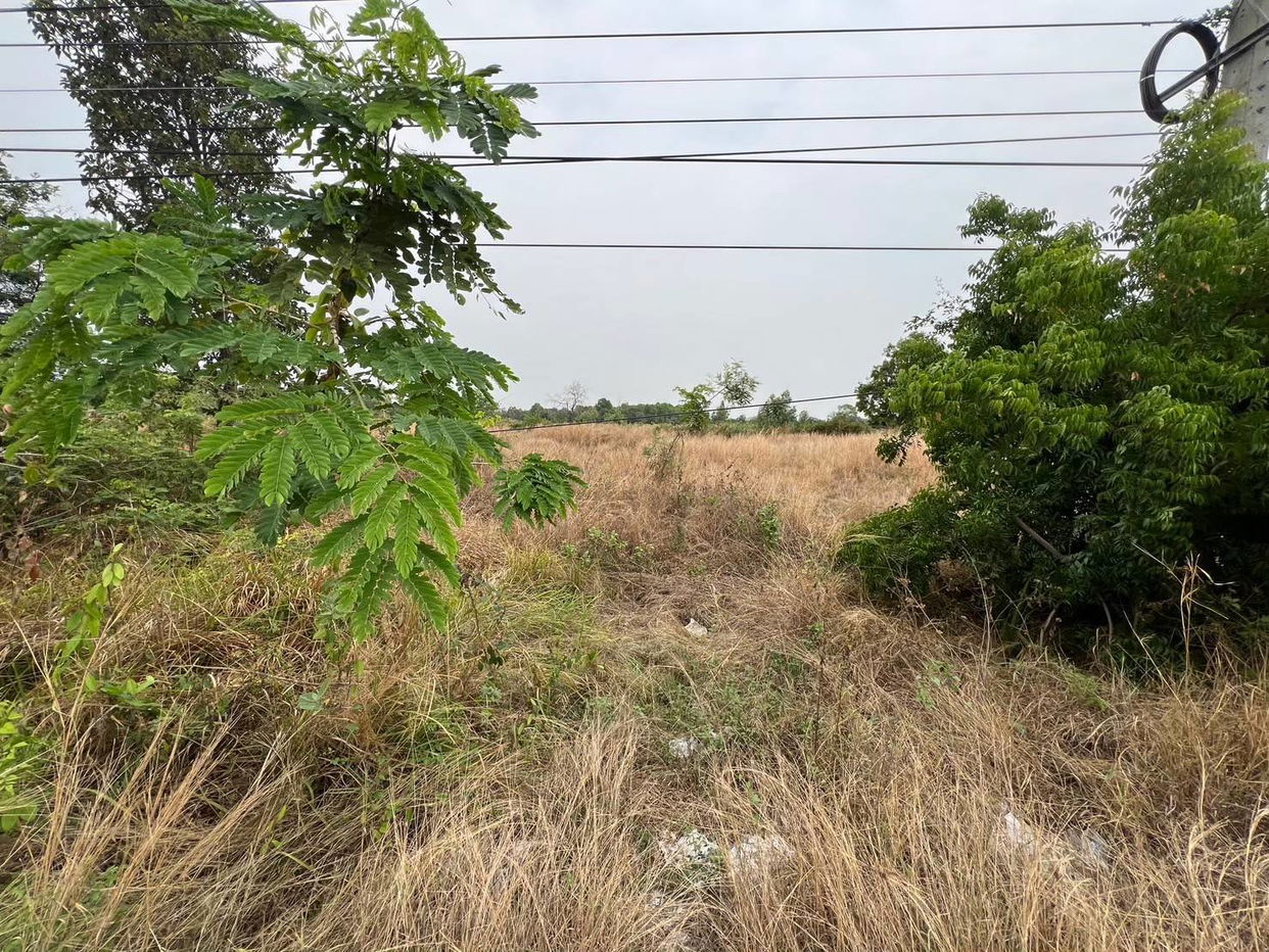 picture ที่ดินเปล่า 8984 square meter Buri Ram Lam Plai Mat Nong Kathing for 4773000 THB - 2/7