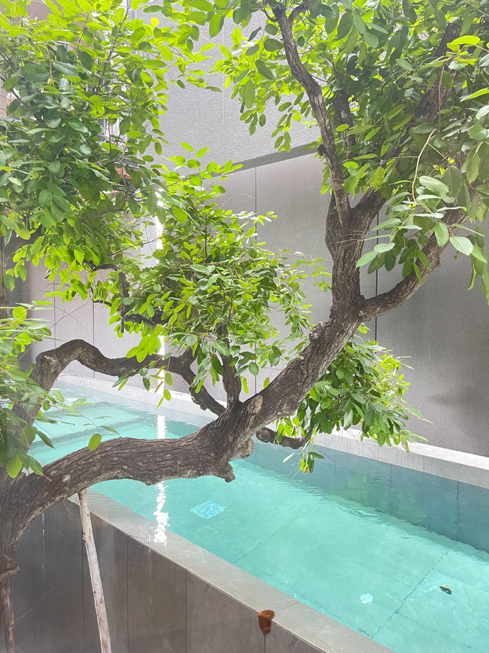 picture For Rent 4 -story ✨Modern Luxury Pool Villa✨ with a private swimming pool and elevator 📍0 m. Harrow - 2/25
