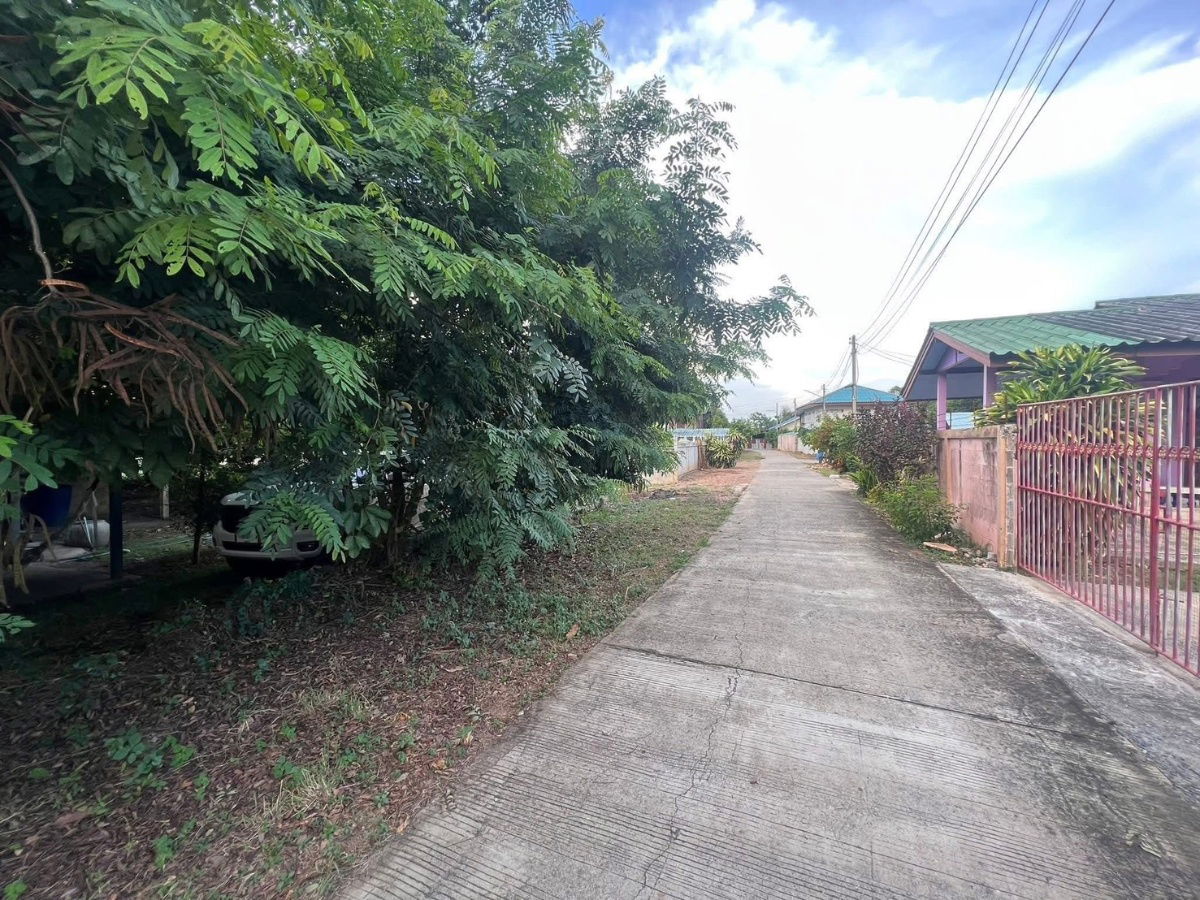 picture Beautiful land for sale, convenient, water and electricity available, in a community in Thong En Subdistrict, In Buri District, Sing Buri Province. - 4/5