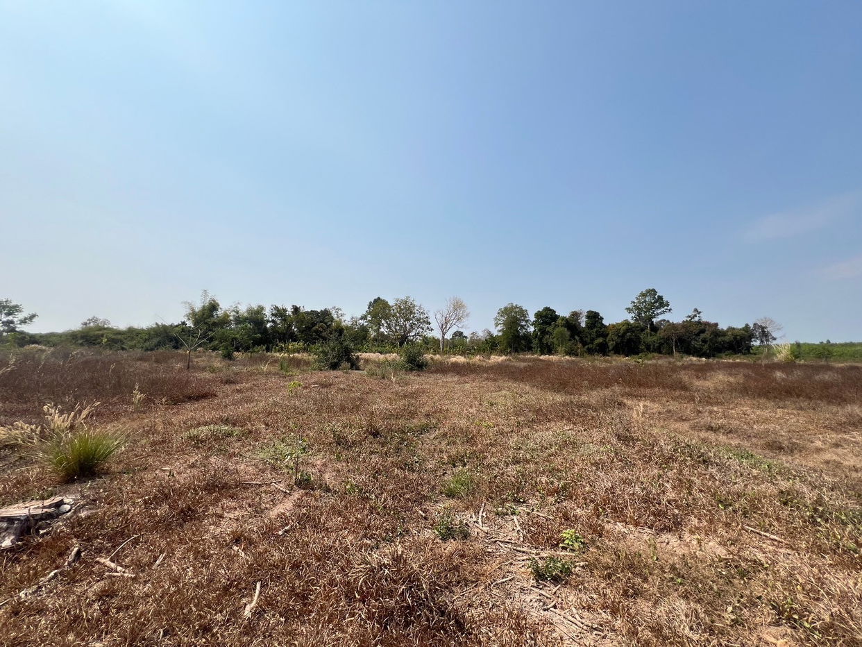 picture ที่ดินเปล่า 152368 square meter Sakon Nakhon Kham Ta Kla Nong Bua Sim for 5333000 THB - 1/12