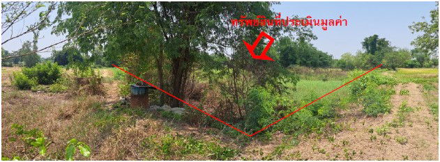 picture ที่ดินเปล่า 23448 square meter Maha Sarakham Kantharawichai Ma Kha for 2289000 THB - 3/7