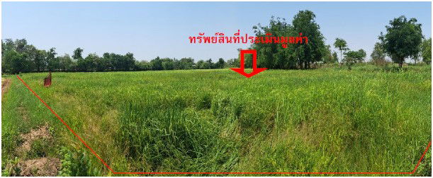 picture ที่ดินเปล่า 23448 square meter Maha Sarakham Kantharawichai Ma Kha for 2289000 THB - 2/7