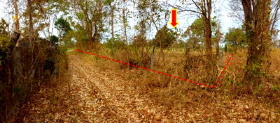 Land for sale Muang Nong Bua Lam Phu Nong Bua Lam Phu : ที่ดินเปล่า 16928 square meter Nong Bua Lam Phu Muang Nong Bua Lam Phu Nong Phai Sun for 4075000 THB