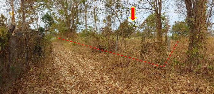 picture ที่ดินเปล่า 16928 square meter Nong Bua Lam Phu Muang Nong Bua Lam Phu Nong Phai Sun for 4075000 THB - 1/3