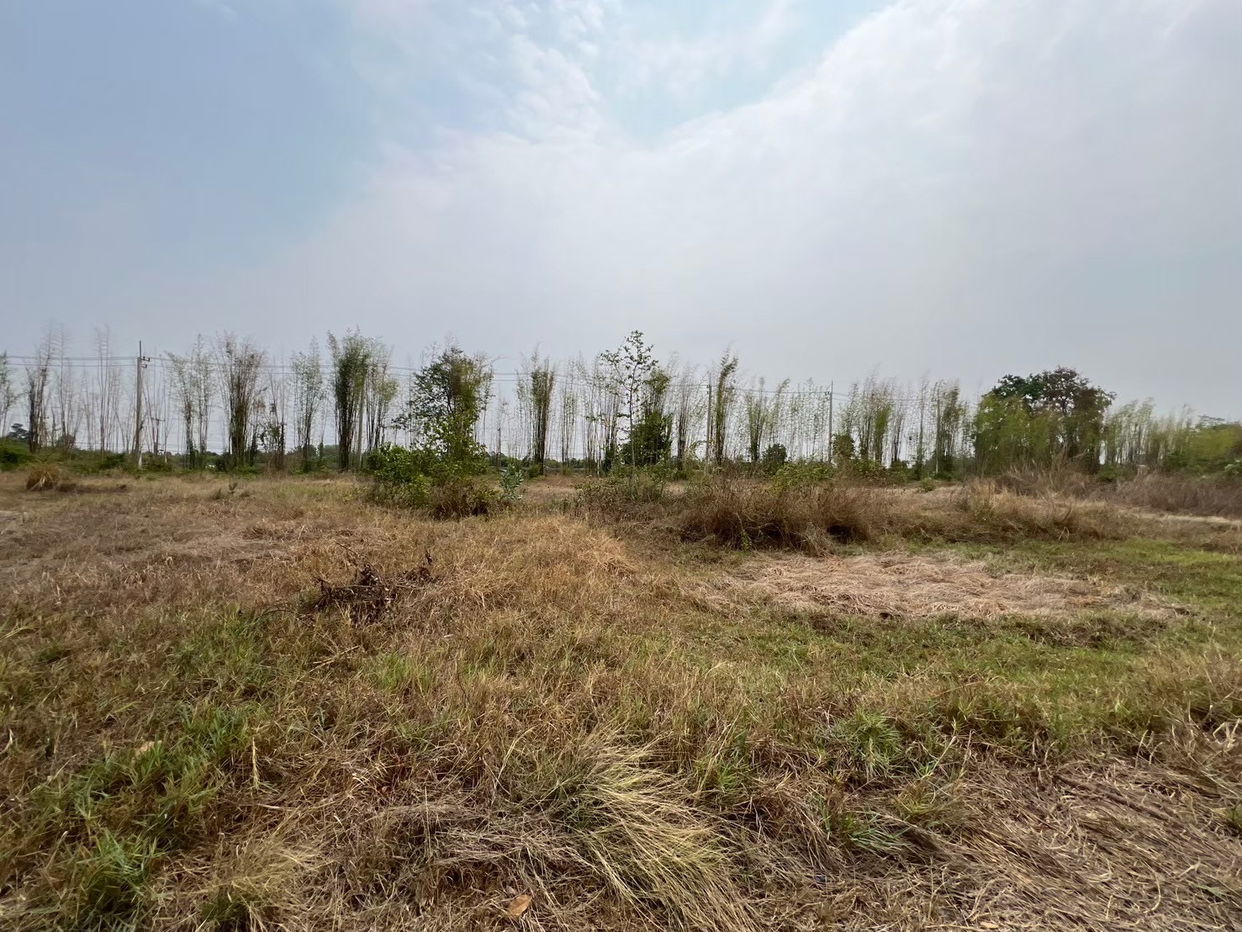picture ที่ดินเปล่า 57444 square meter Buri Ram Lam Plai Mat Nong Khu for 30518000 THB - 2/9