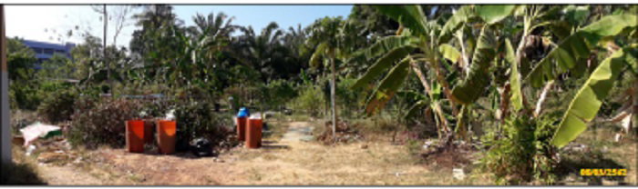 LAND 312.6 Sq.w. Nua Khlong Krabi for 2.1M