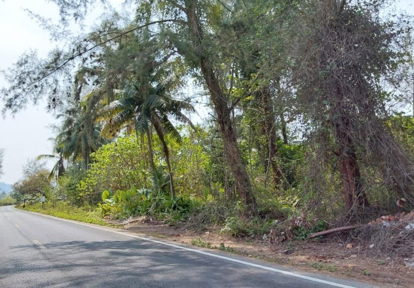 picture ที่ดินเปล่า 8073.2 square meter Phangnga Takua Pa Kheuk Khak for 14583000 THB - 3/4
