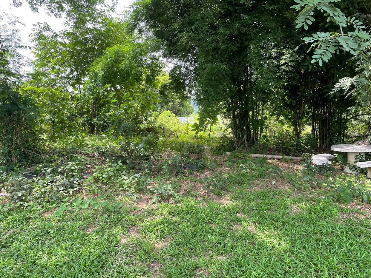picture ที่ดินเปล่า 7172.8 square meter Yasothon Muang Ya Sothon Samran for 5797000 THB - 3/6