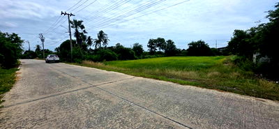 ที่ดิน ไทรน้อย นนทบุรี : ขายที่ติดคลอง ราษฎร์นิยม ไทรน้อย นนทบุรี