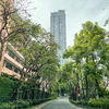listing thumbnail image 13