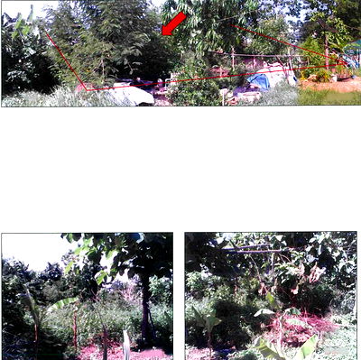 Land for sale Phayao : ที่ดินเปล่า 1704 square meter Phayao Chiang Kham Yuan for 1807000 THB