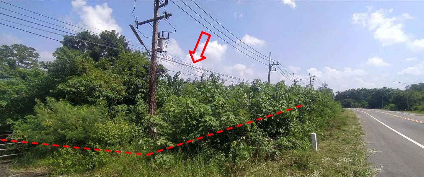 picture ที่ดินเปล่า 10808 square meter Loei Tha Li A Hi for 5390000 THB - 4/8
