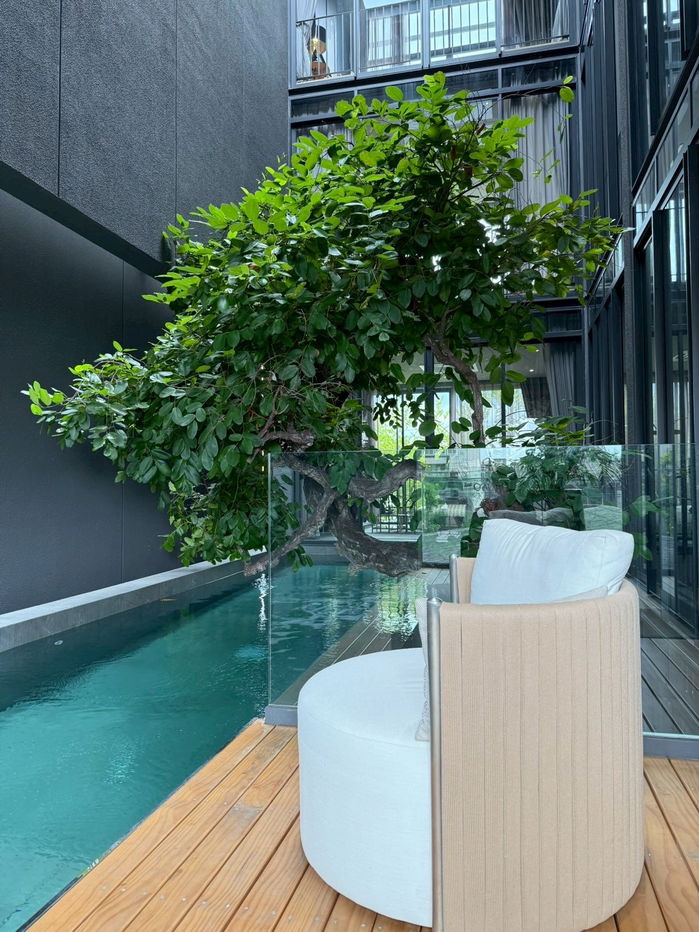 picture For Rent 4 -story ✨Modern Luxury Pool Villa✨ with a private swimming pool and elevator 📍0 m. Harrow - 3/25