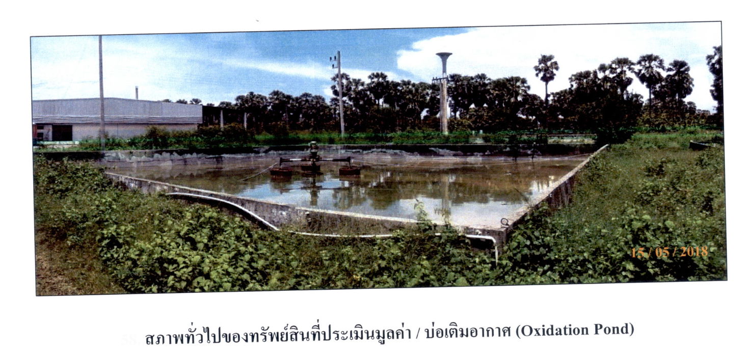 picture โรงงาน 51241.2 square meter Songkhla Singha Nakhon Thammop for 71991000 THB - 5/6