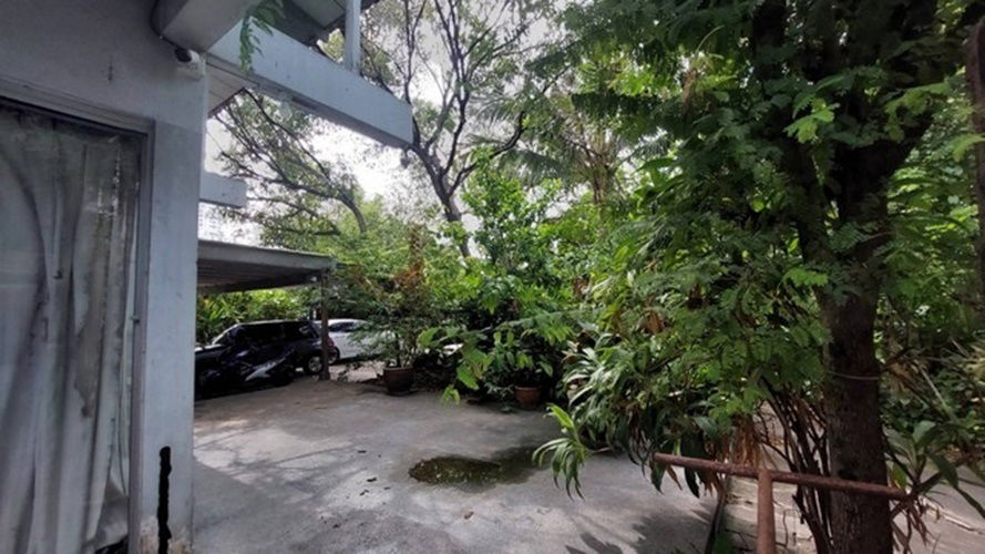picture Land for sale at Wat Phai Ngern Chotnaram, good price, beautiful land (N.663) - 4/8