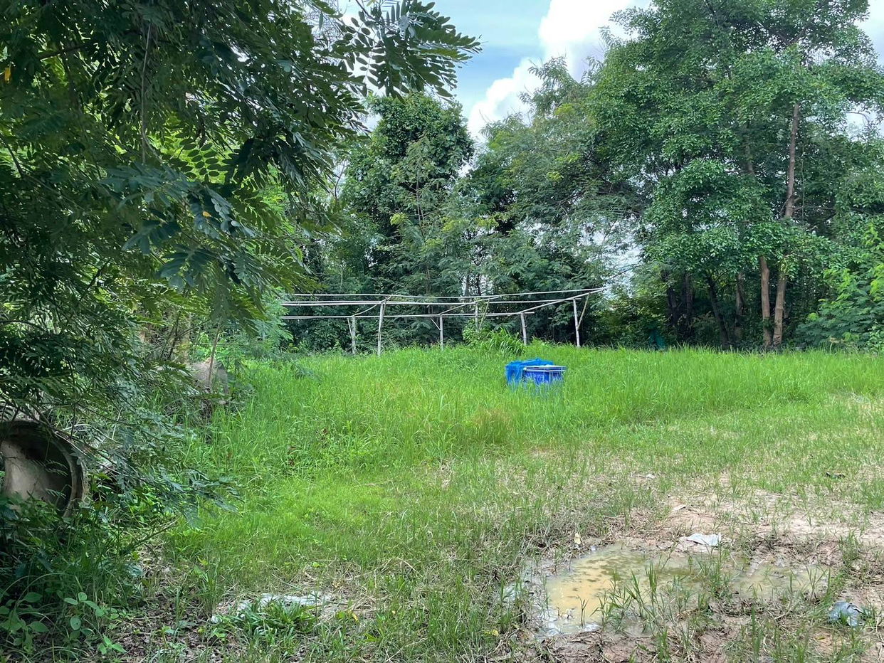 picture ที่ดินเปล่า 7172.8 square meter Yasothon Muang Ya Sothon Samran for 5797000 THB - 5/6