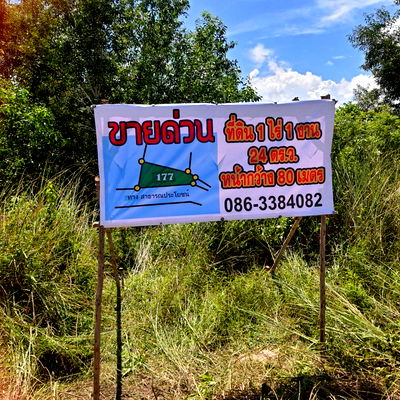 Land for sale Laem Mae Phim Beach : Land for sale in Klaeng, Rayong, 80 meters from the road.