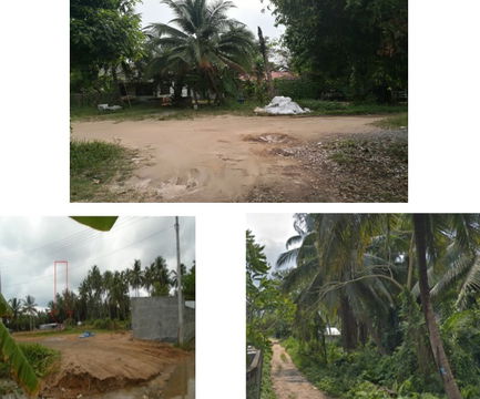 ที่ดินเปล่า 316 square meter Surat Thani Ko Samui Lipa Noi for 638000 THB
