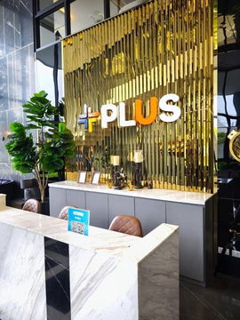 ขาย Plus connect ราคาขาดทุน ถูกมาก