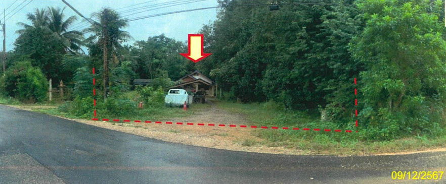 picture บ้านเดี่ยว 772 square meter Phatthalung Pa Bon Wang Mai for 534000 THB - 3/4