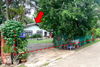 listing thumbnail image 1