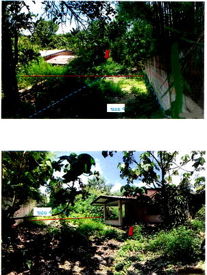 Houses for sale Chiang Mai : บ้านเดี่ยว 536 square meter Chiang Mai Fang Wiang for 362000 THB